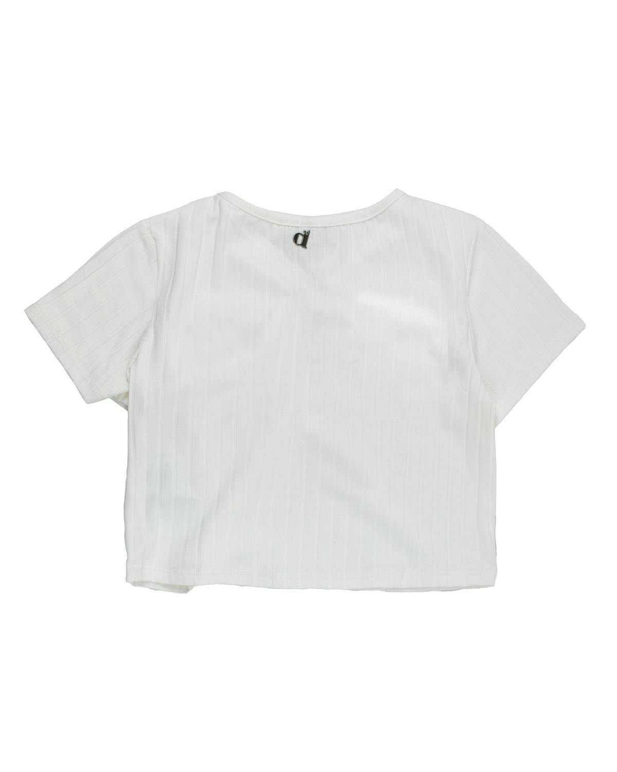 T-SHIRT DIXIE MBB4070G BIANCO LANA-1